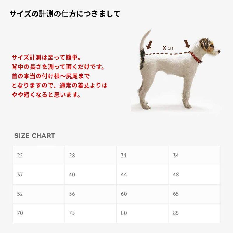 【値段交渉可：送料込】 Pomppa(ポムッパ) ユンパ ポムッパ グラファイト 65 【1478913959】(9477円)