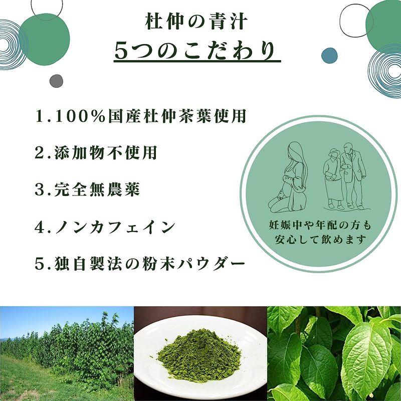 マリッカアポセカリー 杜仲の青汁 完全国産 無添加 無農薬 Tochu Green ボトルタイプ 340ml 24本入(1箱) 杜仲の青汁 完全国産 無添加 無農薬 Tochu Green ボトルタイプ 340ml 24本入 1箱