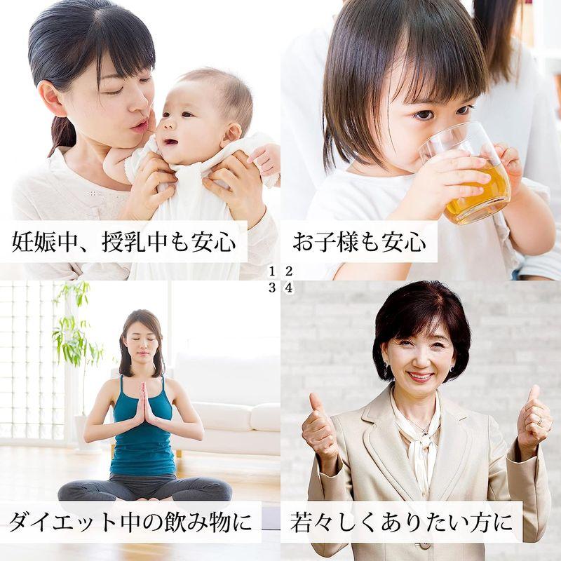 たんぽぽ堂 たんぽぽコーヒー極上 120パック タンポポ茶 無農薬 タンポポ茶 たんぽぽコーヒー極上 120パック 無農薬