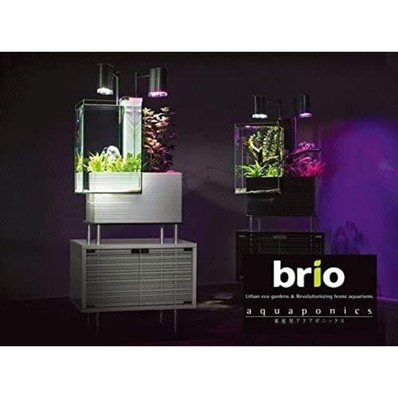 匿名！送料無料！ 家庭用 アクアポニックス ブリオ 本体 brio 水槽 セット ホワイト brio35 お洒落 【NA1265680361】(46138円)