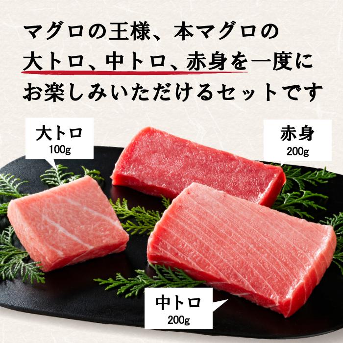 本鮪詰め合せ 計500g 大トロ・中トロ・赤身 刺身 寿司 マグロ丼 本鮪詰め合せ 計500g 大トロ・中トロ・赤身 刺身 寿司 マグロ丼