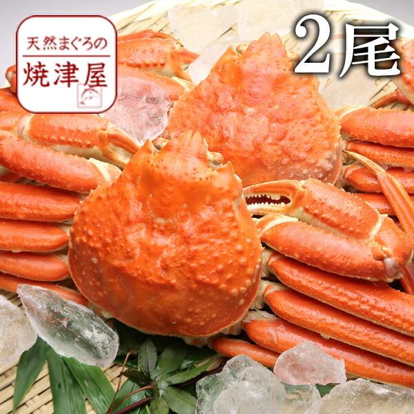 ズワイガニ姿(ボイル) 600g×2尾 送料無料カナダ産 北海道沖縄へは700円加算 春 新生活 母の日 ギフト プレゼント 手巻き寿司 海鮮丼｜yaizu