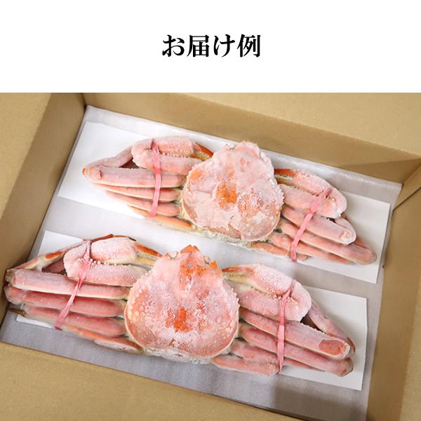 ズワイガニ姿(ボイル) 600g×2尾 送料無料カナダ産 北海道沖縄へは700円加算 春 新生活 母の日 ギフト プレゼント 手巻き寿司 海鮮丼｜yaizu｜09