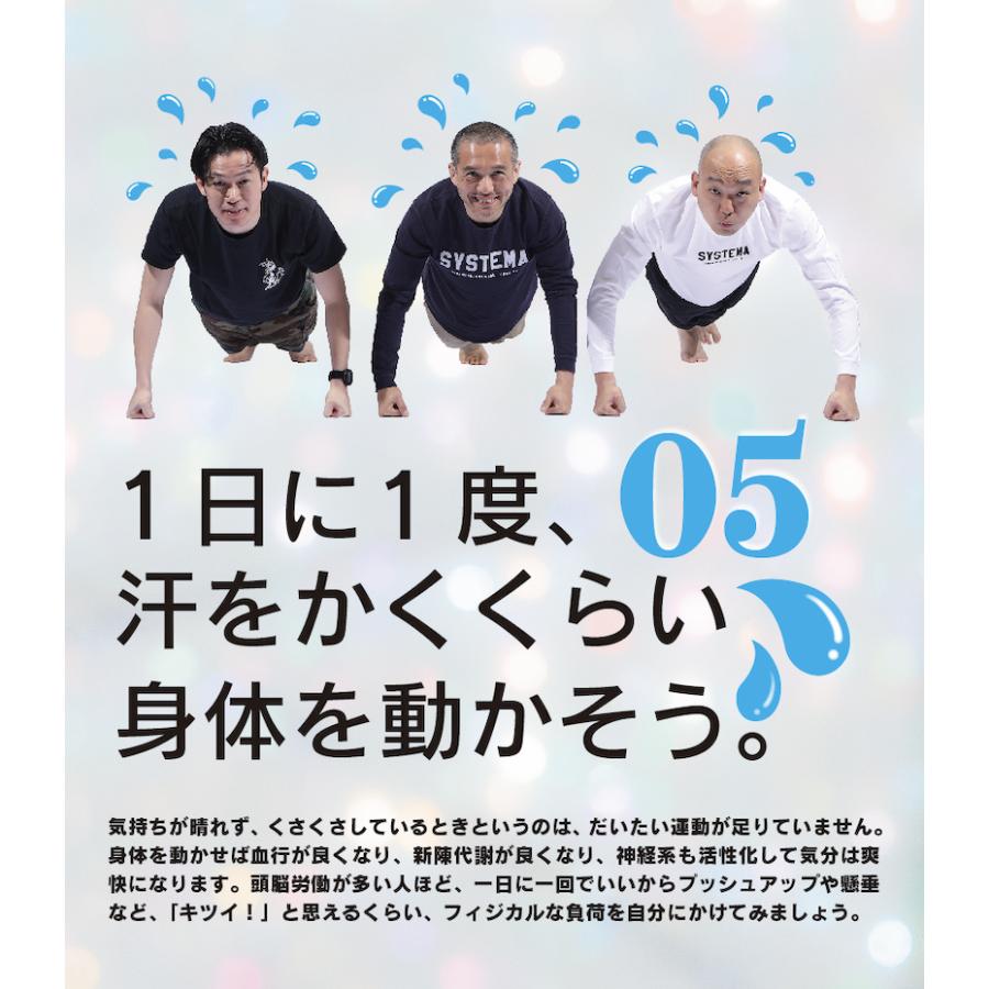 北川貴英 システマDVD3本セット DVD 北川貴英 整える威力