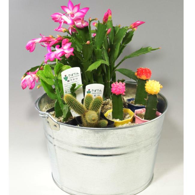 トタンバケツ ワイドバケツ7型 花柄 日本製 ブリキ トタン物入 Kwb 7 やかん屋 通販 Yahoo ショッピング