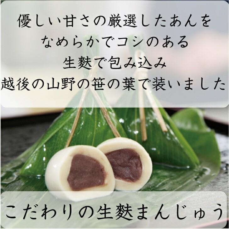 新潟県新発田市の特産品 麩まんじゅう ふまんじゅう 5個入 母の日 手土産や贈り物ギフト お歳暮 和菓子 ギフト 話題 お歳暮 お中元 D 1 宮村製麩所オンラインショップ 通販 Yahoo ショッピング