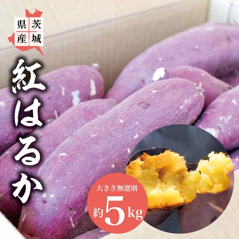 さつまいも 5kg 訳あり 紅はるか 茨城県産 さつま芋｜yakiimo-adumaya