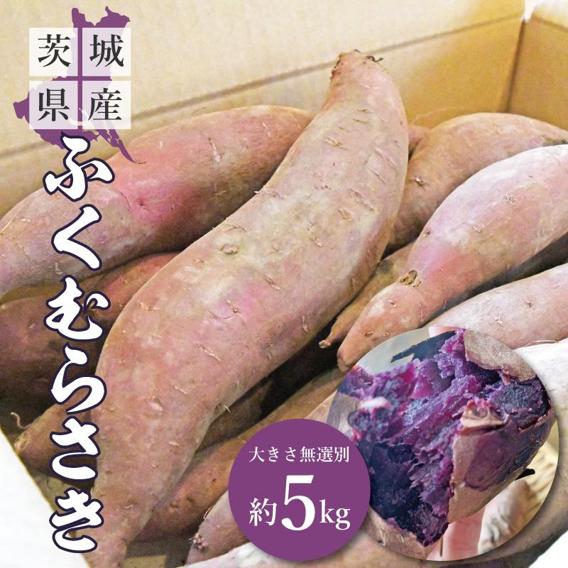 さつまいも 5kg ふくむらさき さつま芋 : やきいも専門店あづまや