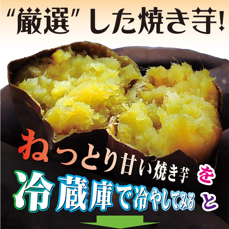 焼き芋 紅はるか (吉満) 冷蔵 冷やし焼き芋 ひえひえ君