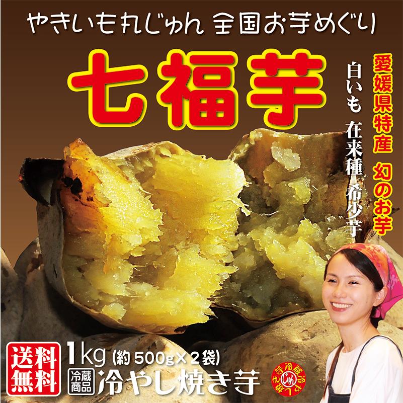 焼き芋 白いも 七福芋 冷蔵 冷やし焼き芋 クリーミーで甘い 送料無料