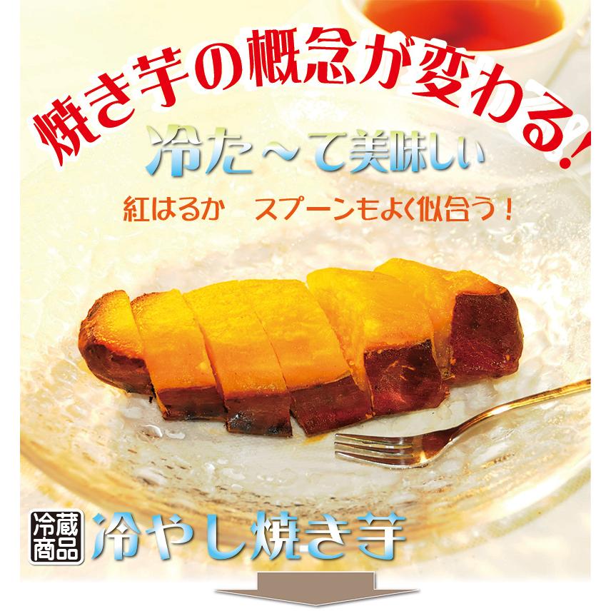 焼き芋 5種食べ比べ ふく紫 シルクスイート 紅はるか 坂出金時 安納紅