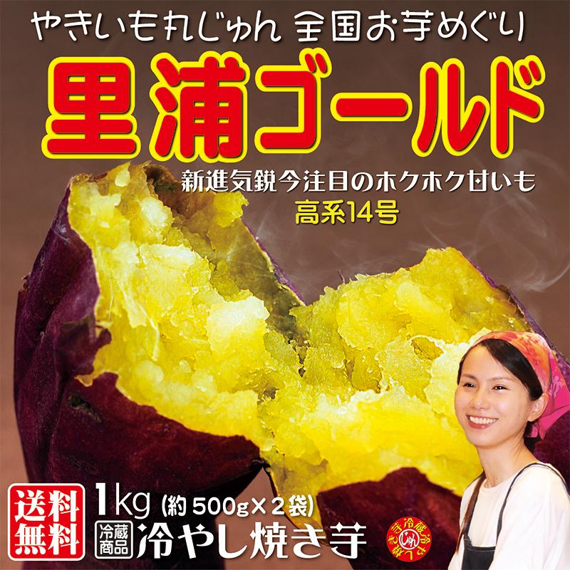焼き芋 熟成新芋 里浦ゴールド ほくほく甘い 冷蔵 冷やし焼き芋 ひえひえ君 1kg 送料無料 1025 やきいも丸じゅん 通販 Yahoo ショッピング