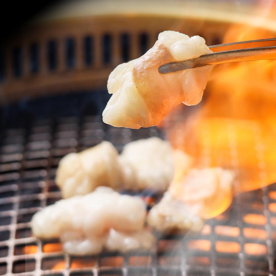 特選 丸腸 100g マルチョウ 龍園 焼肉の龍園 りゅうえん ryuen :r029:焼肉の龍園ヤフー店 - 通販 - Yahoo!ショッピング