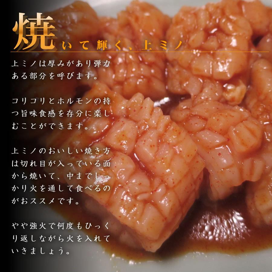 ミノ(肉の容量:200g〜299g)|牛ホルモン|肉、ハム、ソーセージ|食品 通販 - Yahoo!ショッピング ミノ(肉の容量:200g〜299g)|牛ホルモン|肉、ハム、ソーセージ|食品 通販 - Yahoo!ショッピング