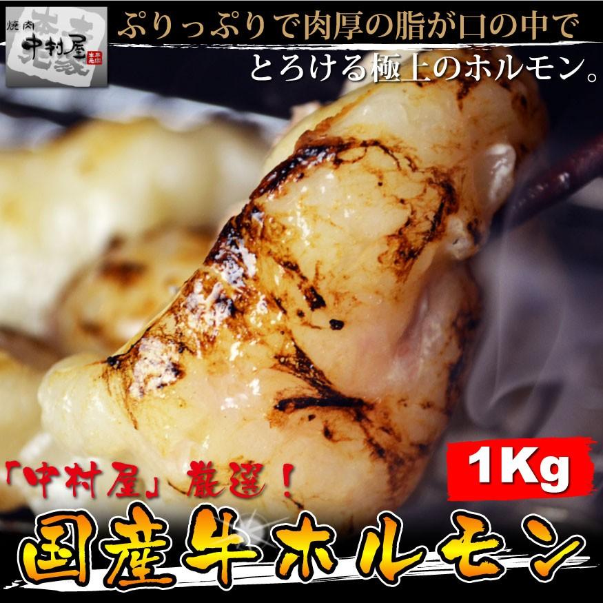 お中元 御中元 牛肉 国産牛 ホルモン 1kg メガ盛り 小腸 焼肉 バーベキュー もつ鍋 ホルモンうどん ホルモン焼き 送料無料｜yakinikunakamurayayh