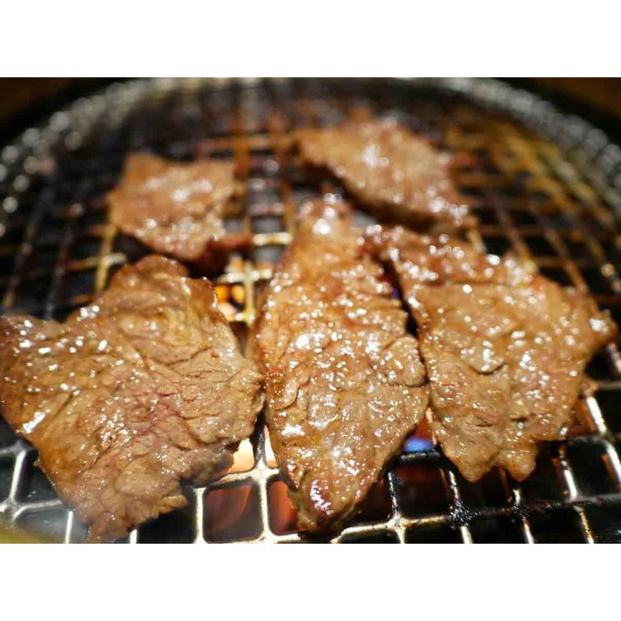 全品送料無料 北見焼肉とん久 味付牛サガリ 旨辛だれ 100g 2パック 個食 食べきりサイズ 焼肉 バーベキュー ハンギングテンダー Wantannas Go Id