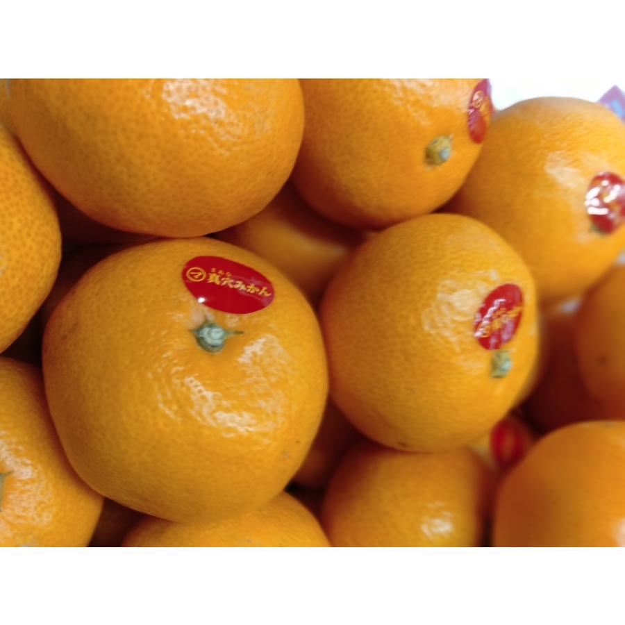ゆページ　真穴みかん10キロSサイズ＋5キロSサイズ＋お試しみかん 愛媛西宇和 真穴みかん 5キロ 真穴共選正規品サイズ指定不可 L．М．S