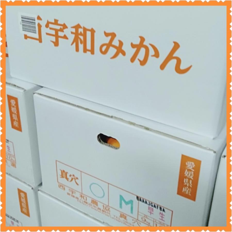 愛媛西宇和 真穴みかん 5キロ 真穴共選正規品サイズ指定不可 L．М．S