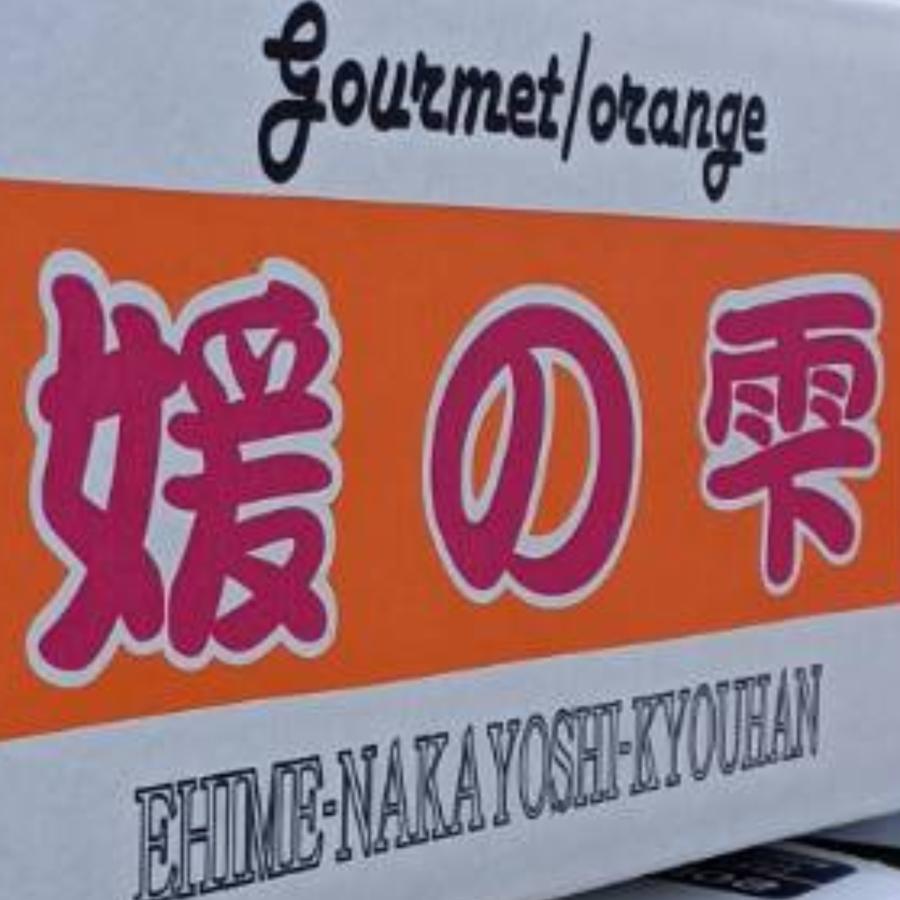 ぴんころ 媛の雫まどんな 3キロ 訳あり家庭用 登録商標 2006紅ま