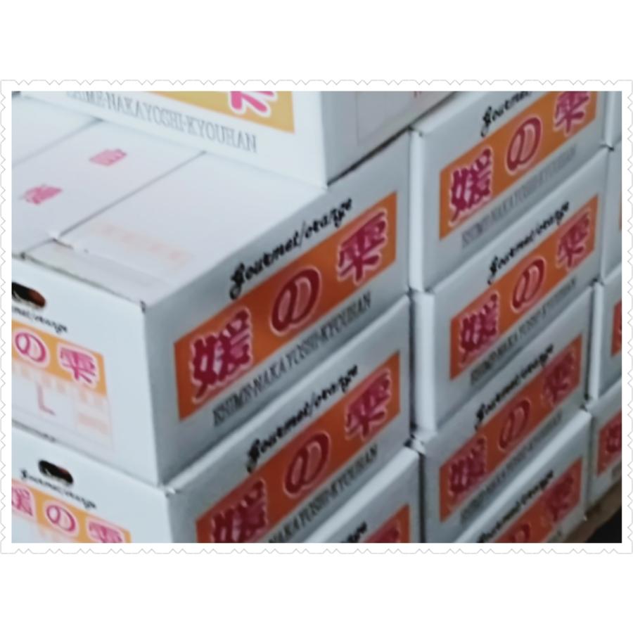 媛の雫まどんな5キロ 訳あり（紅まどんな同一品種）わけあり.愛果.紅