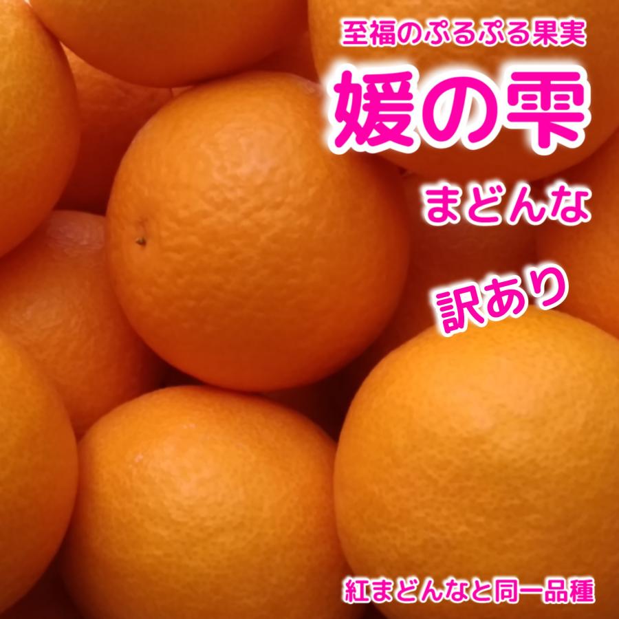 愛媛西宇和 訳あり 媛の雫まどんな （ＪＡ紅まどんなと同一品種）２キロ 2５80円 予約商品 愛果２８号 みかん果物マドンナ  :himenoshizuku-yutousei:八幡浜椿フルーツ - 通販 - Yahoo!ショッピング