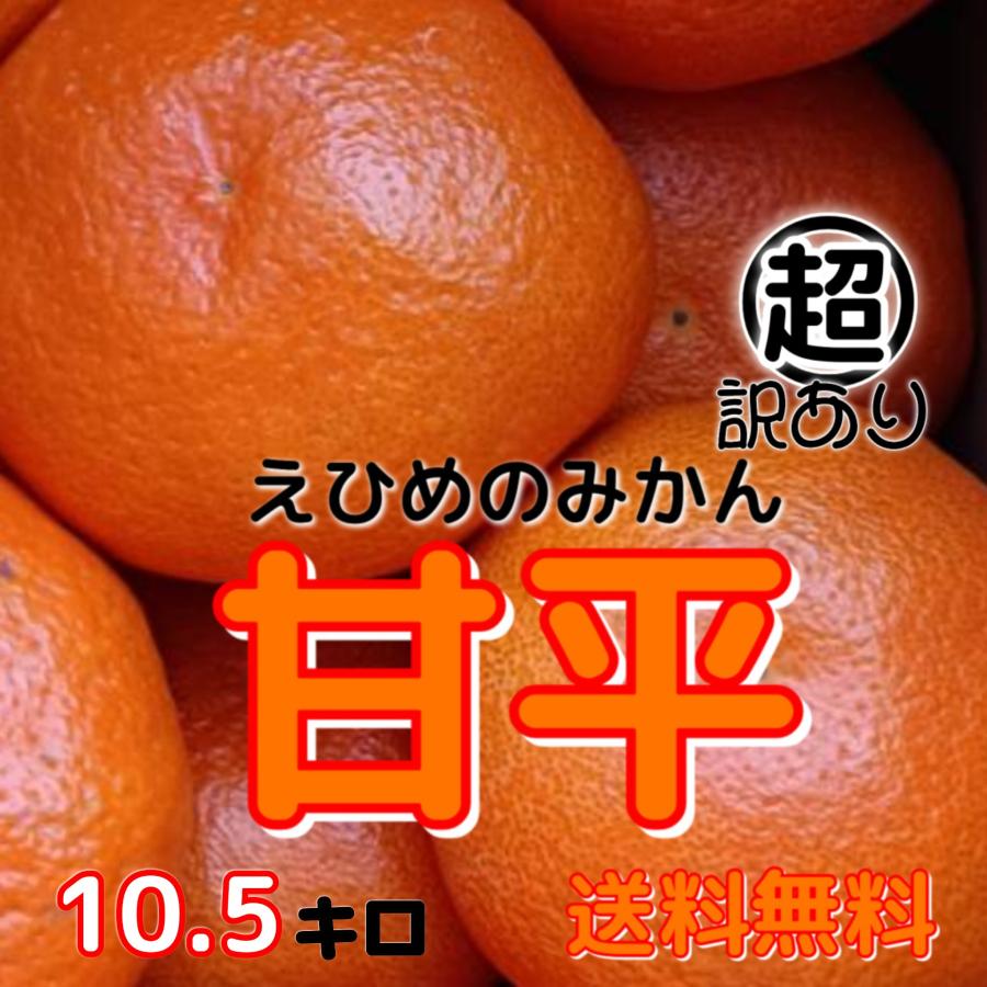 2026年3月】南柑20号のおすすめ人気ランキング - Yahoo!ショッピング
