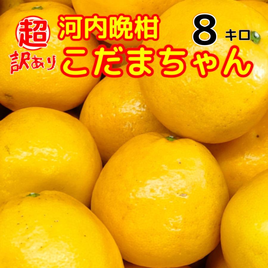超訳あり　河内晩柑こだまちゃん　８キロ　不揃い　愛媛の柑橘美生柑　西宇和みかん八幡浜椿フルーツ農家直送（Yahoo!・八幡浜椿フルーツ）