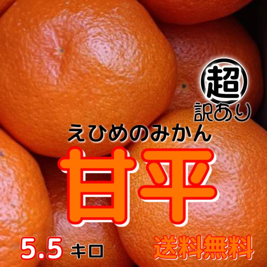 かんぺい 超訳あり かんぺい（甘平）5．5キロ 不揃い 愛媛八幡浜 一部地域別途