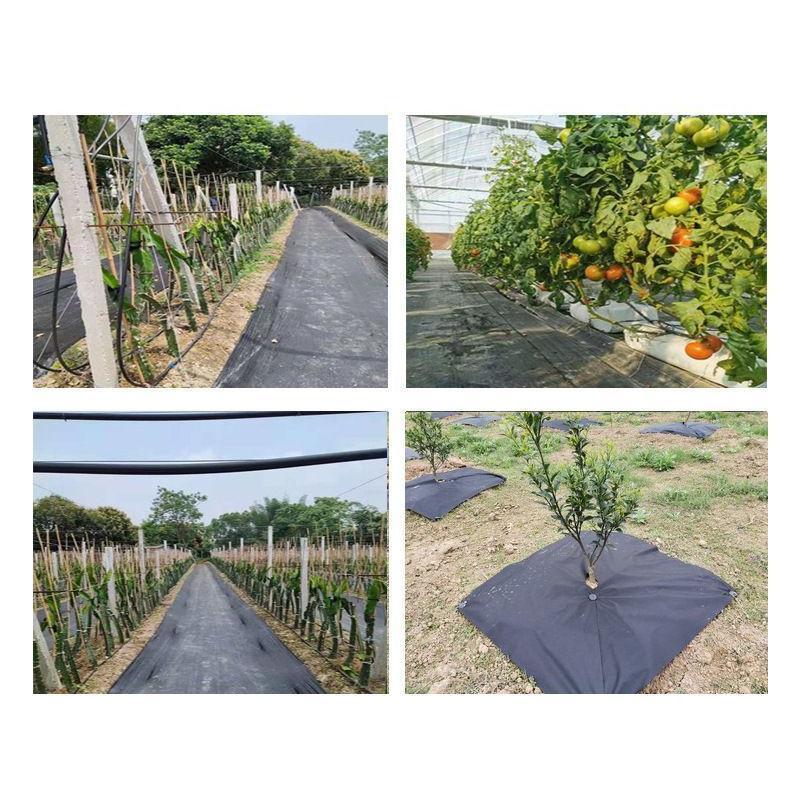 素晴らしい外見除草シート固定ピン 100本セット 防草シート用 固定用 畑 ガーデニング 家庭菜園 PP杭 押さえピン プラスチック 抜けにくい 農作業 農業用具 農業用 株 アイマーク IM 押ボタン メガネ銘板 φ22.5 別作 3ノッチ2段彫り P22-F 期間限定 ポイント10倍