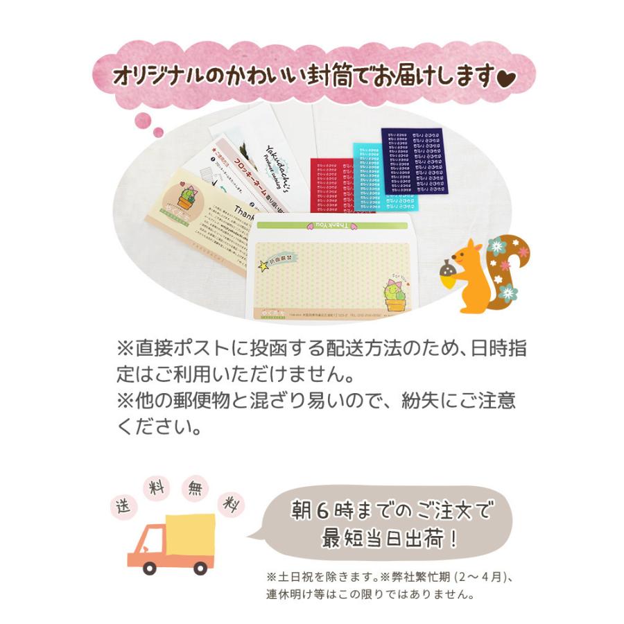 フロッキーネーム 小中お得セット 75個@ : やくだち - 通販 - Yahoo