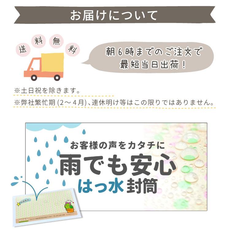 お名前シールセレクト シール デザインが選べる サイズが選べる