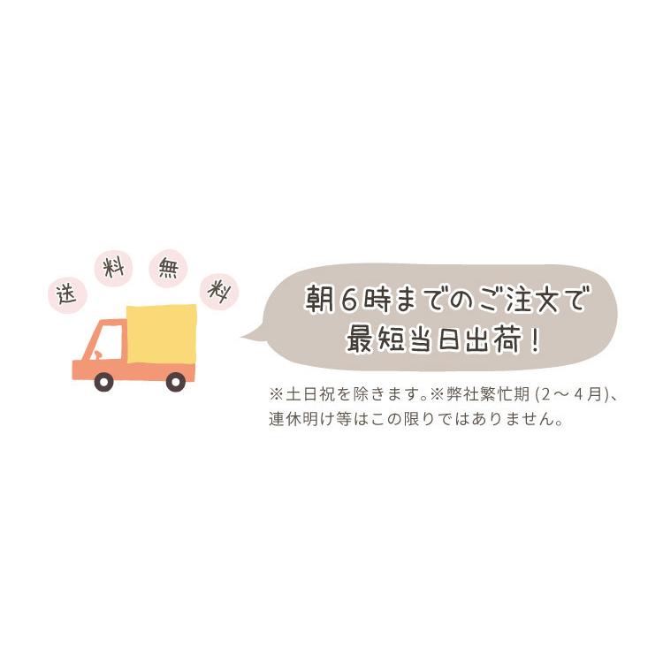 やみつきスタンプ ハンコ スタンプ シャチハタ式 お名前スタンプ 名前 こども カラー オムツ @｜yakudachi｜11