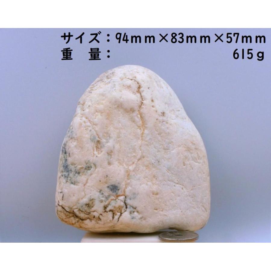 翡翠に良く似た希少海岸美石・標本・置物 615g : 糸魚川翡翠姫川