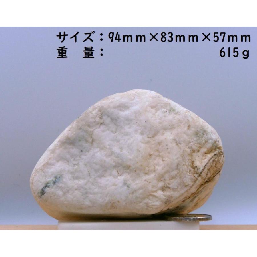 翡翠に良く似た希少海岸美石・標本・置物 615g : 姫川薬石季節の山菜