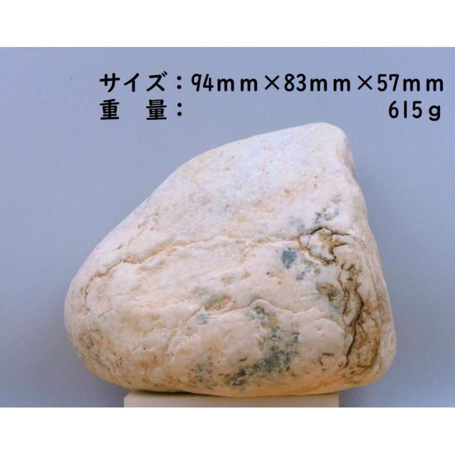 翡翠に良く似た希少海岸美石・標本・置物 615g : 姫川薬石季節の山菜
