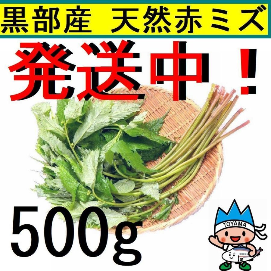 名水の里 黒部 発送中 正真正銘 天然赤みず みず ミズ 葉先切除 500ｇ Krbakmz500 糸魚川翡翠姫川薬石専門店 薬石苑 通販 Yahoo ショッピング