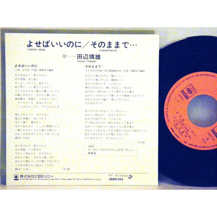 【検聴合格】1979年・良盤・田辺靖雄「よせばいいのに／そのままで…」【EP】 tbysys糸魚川翡翠姫川薬石専門店 薬石苑 通販 Yahoo!ショッピング