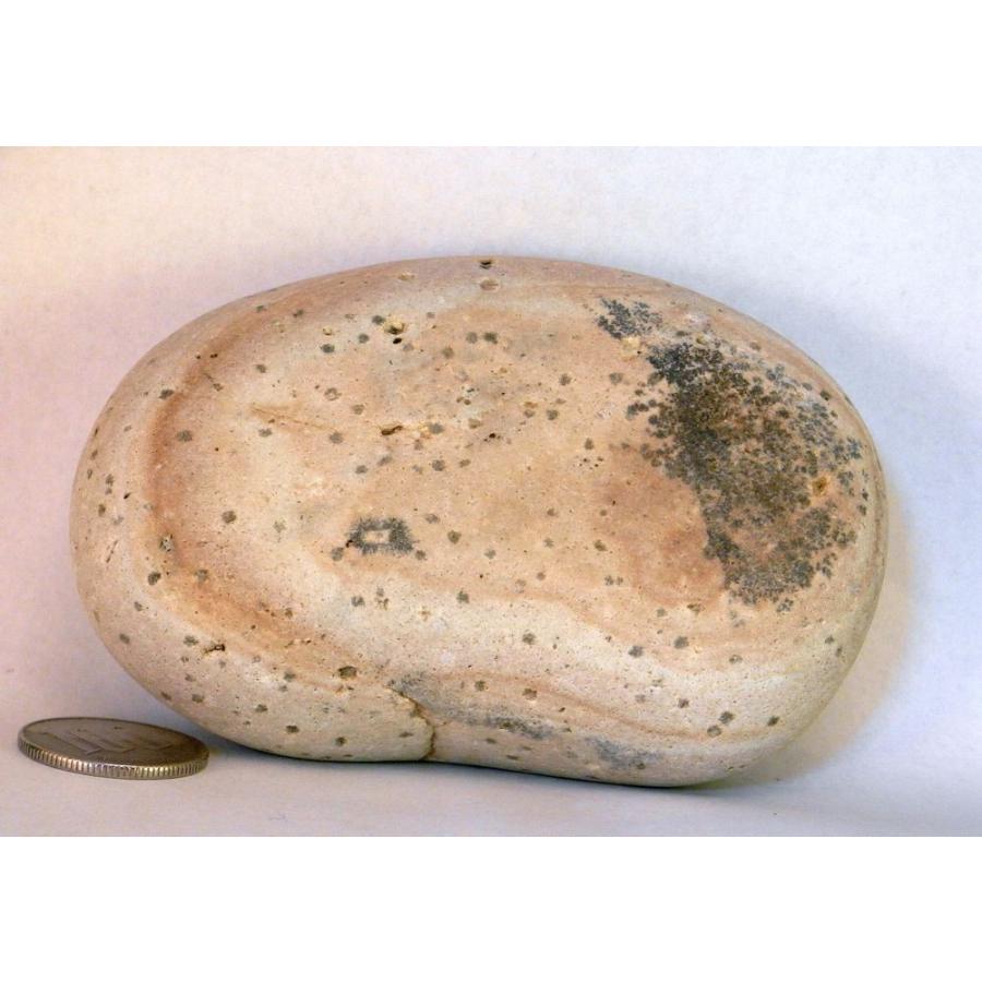 半額 薬石苑 姫川薬石 盆石 水石 超特選 天然石絵 忍石 340ｇ 高評価の贈り物