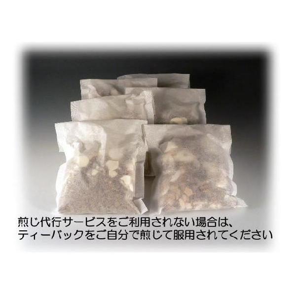 よくかんさんかちんぴはんげ　抑肝散加陳皮半夏　　　　レトルトパック入り煎じ薬　医薬品第2類｜yakusen-in｜02