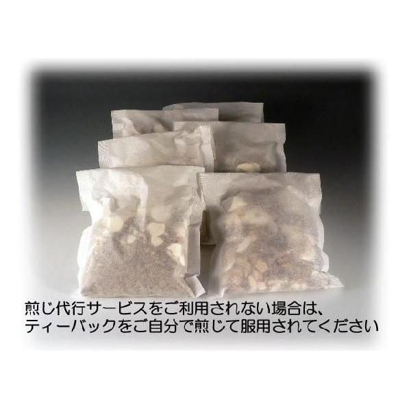うんたんとう　温胆湯　　　　レトルトパック入り煎じ薬　医薬品第2類 