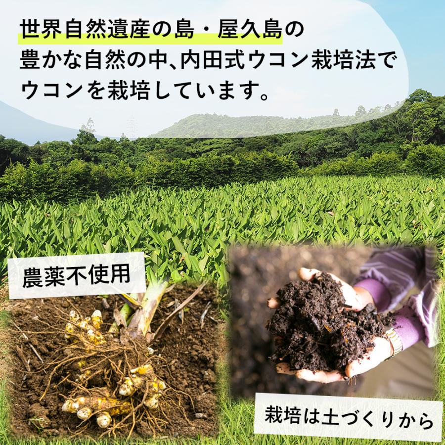屋久島 春ウコン粒♡600粒 3袋セット Amazon | 屋久島春ウコン600粒 無農薬・無化学肥料栽培の春ウコン