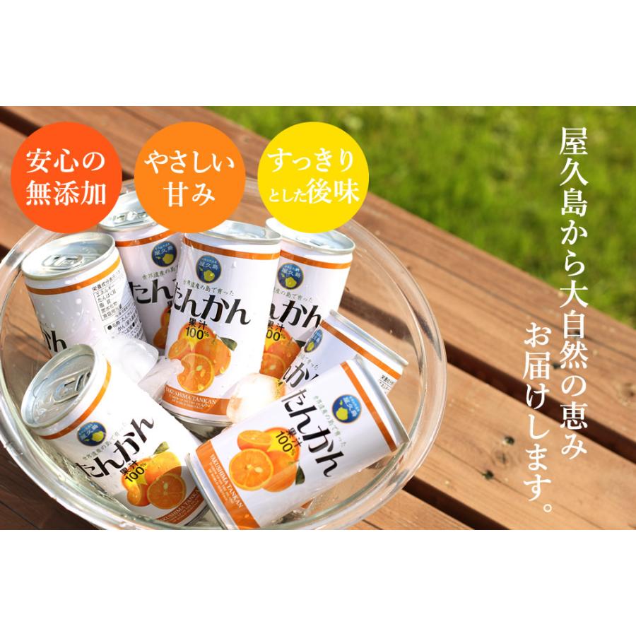 屋久島たんかんジュース190ml×12本入×2箱セット  無添加100%ストレートジュース 国産 送料無料｜yakushimafureai｜08