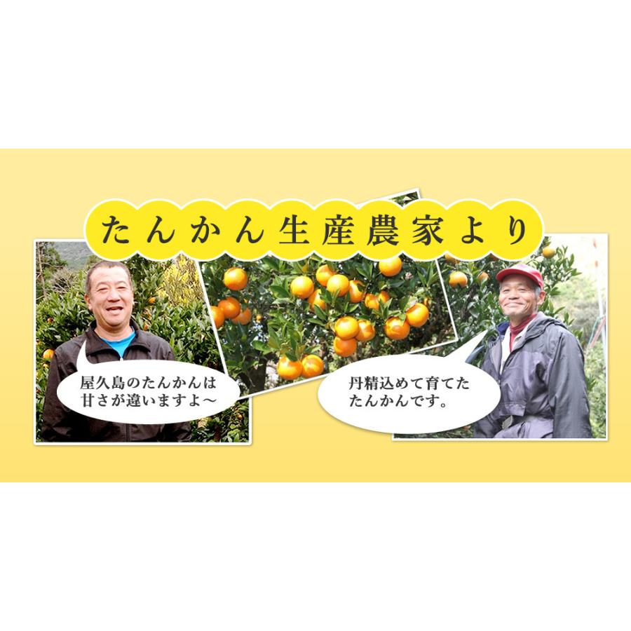 屋久島たんかんジュース 190ml×30本入 無添加100%ストレートジュース