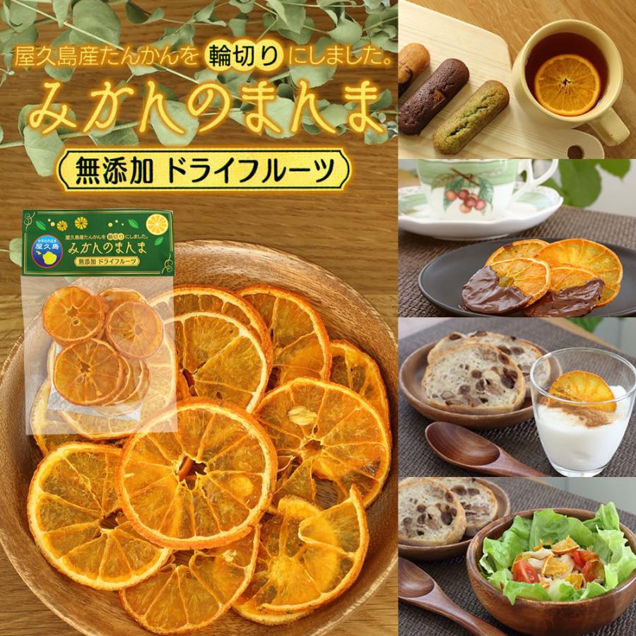 屋久島たんかん加工品の詰め合わせセットb 人気商品増量セット 5 000円セット 送料無料 北海道のみ別途送料500円必要 Set Tankan5000 屋久島たんかん 特産品販売屋久屋 通販 Yahoo ショッピング