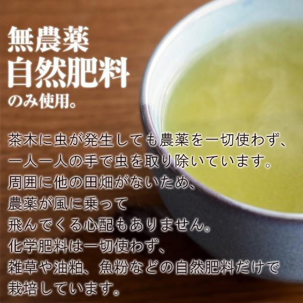 お茶 緑茶 お茶屋さんがひそかに飲むお茶 3袋セット 無農薬 有機栽培 産地直送 ゆたかみどり [M便 1/1]｜yakushimashop｜07