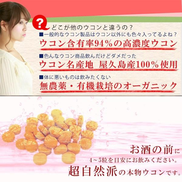 屋久島ウコン極70粒 2袋セット お試し 無農薬 有機栽培 産地直送 サプリメント [M便 1/3] |  | 10