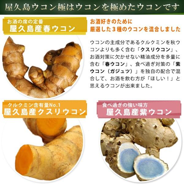 屋久島ウコン極70粒 2袋セット お試し 無農薬 有機栽培 産地直送 サプリメント [M便 1/3] |  | 11