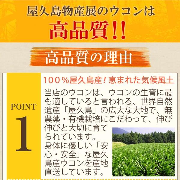 屋久島ウコン極70粒 2袋セット お試し 無農薬 有機栽培 産地直送 サプリメント [M便 1/3] |  | 14
