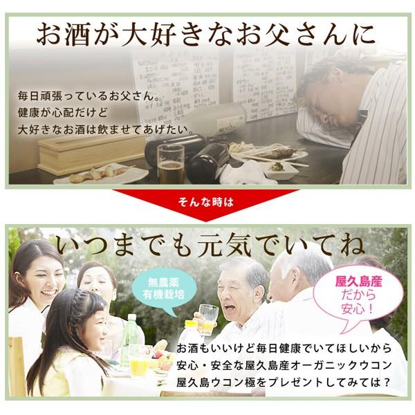屋久島ウコン極70粒 2袋セット お試し 無農薬 有機栽培 産地直送 サプリメント [M便 1/3] |  | 17
