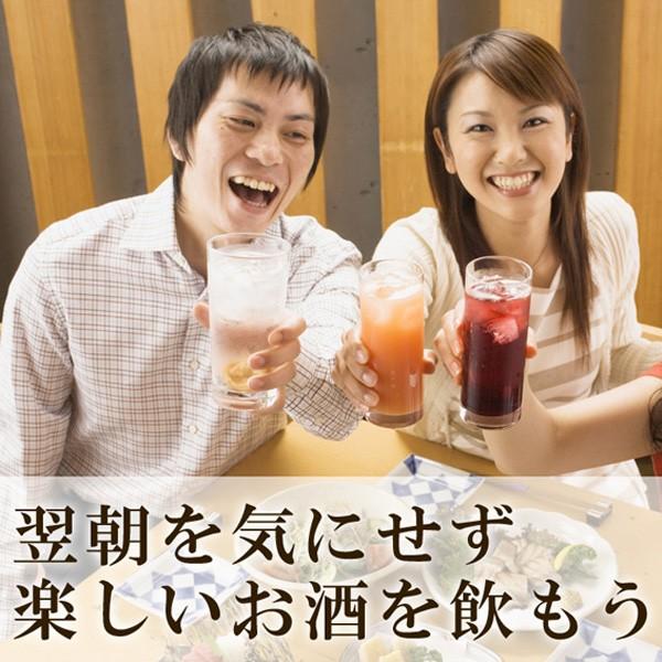 屋久島ウコン極70粒 2袋セット お試し 無農薬 有機栽培 産地直送 サプリメント [M便 1/3] |  | 18